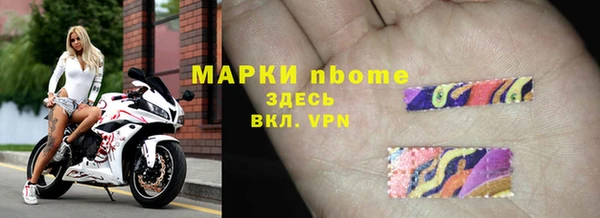 прущие грибы Абаза