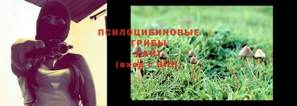 прущие грибы Абаза