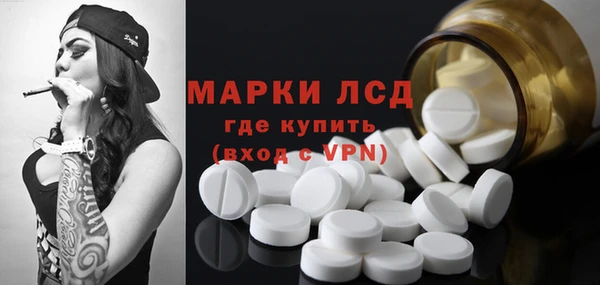 прущие грибы Абаза