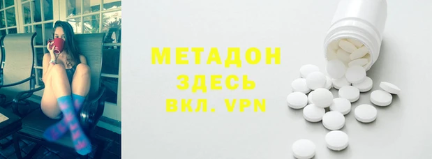 прущие грибы Абаза