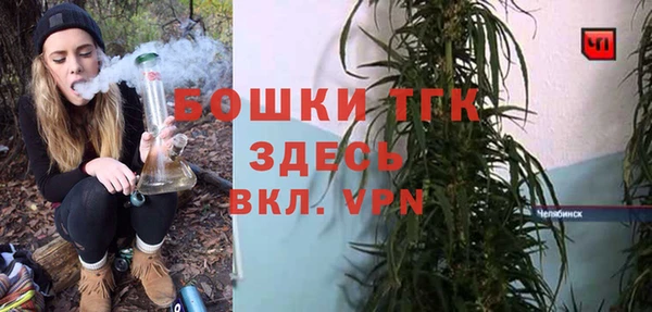 прущие грибы Абаза