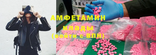 прущие грибы Абаза