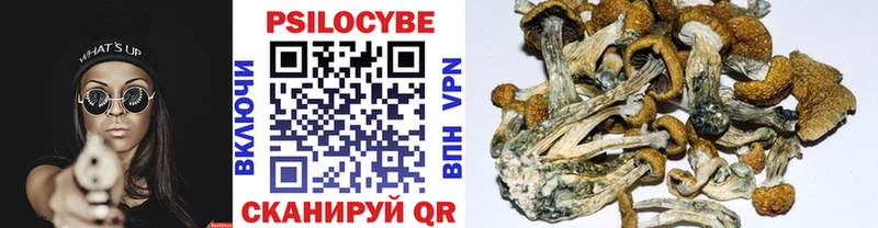 Псилоцибиновые грибы MAGIC MUSHROOMS  Елизаветинская 